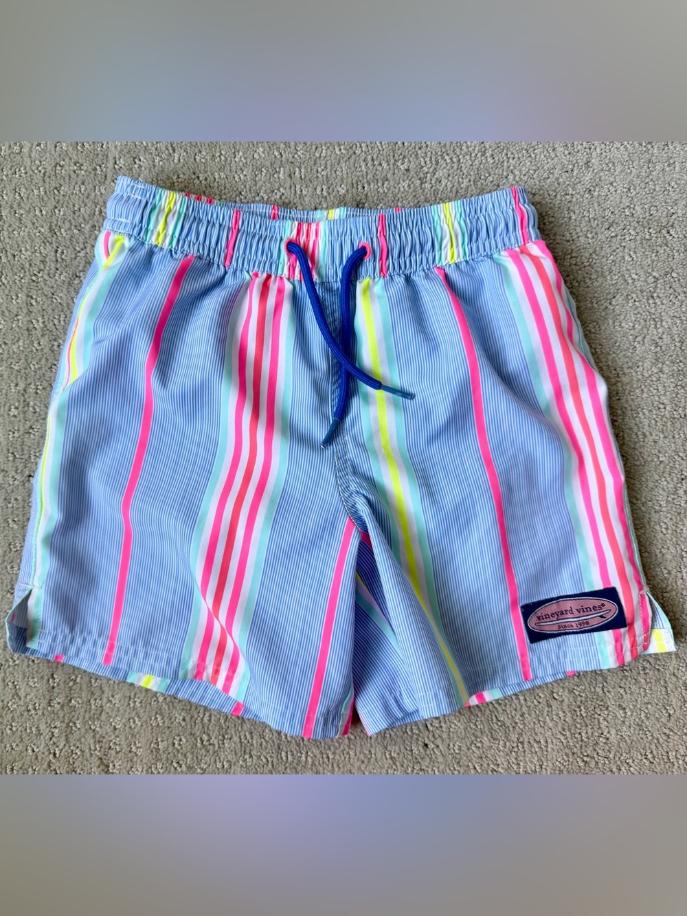 Vineyard Vines Kids Striped Swim Trunks - Blue with Neon Stripes